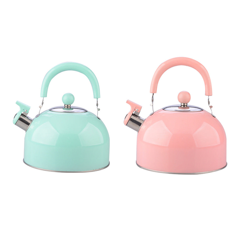 Thickened Flat Bottom Stainless Steel Electric Kettle With Loud Whistle Anti Slip Handle Durable Portable