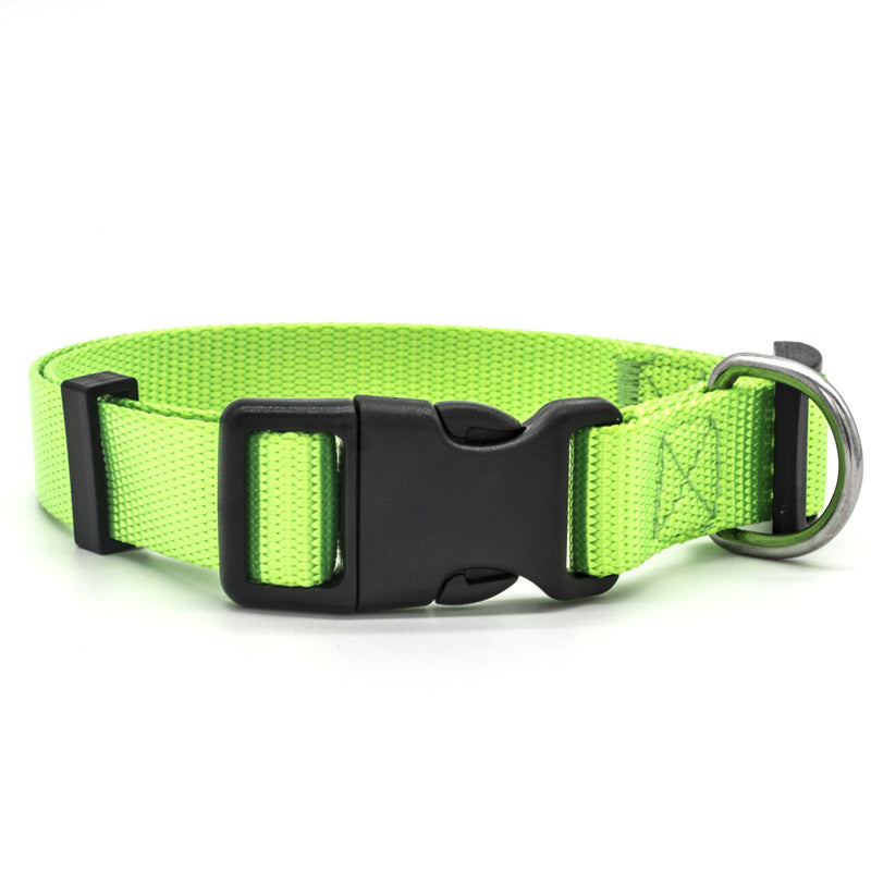 Neon green adjustable pet collar with metal D-ring and black buckle