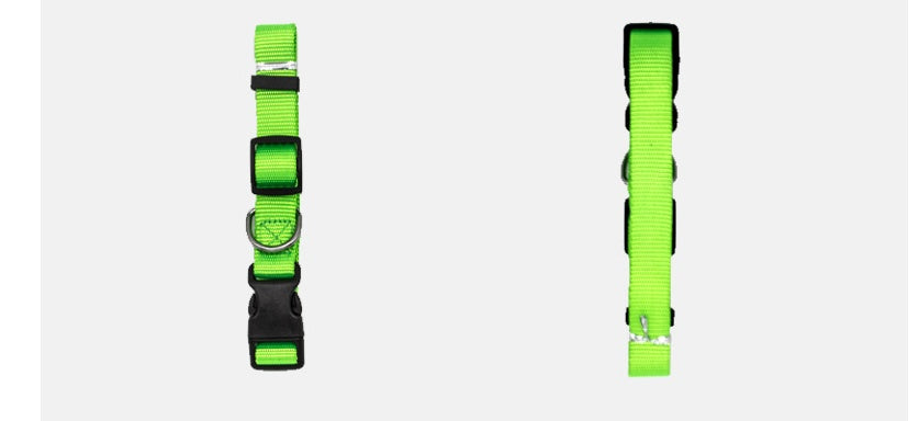 Light green adjustable pet collar with metal D-ring and sliding buckle