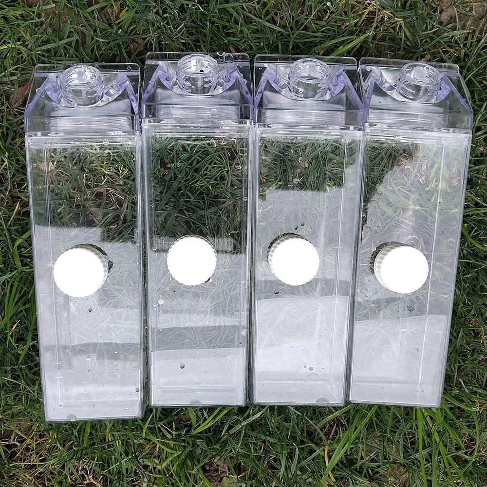 Pure Color Reusable Transparent Water Bottle With Lid Cartoon Style For Travel Souvenir Gift