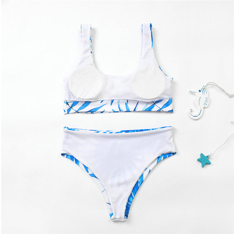 European And American Sexy Bikini Women Split Swimwear