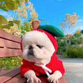 Red heart-hood dog hoodie sweater with white ribbon ties
