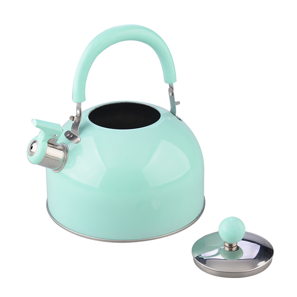 Thickened Flat Bottom Stainless Steel Electric Kettle With Loud Whistle Anti Slip Handle Durable Portable