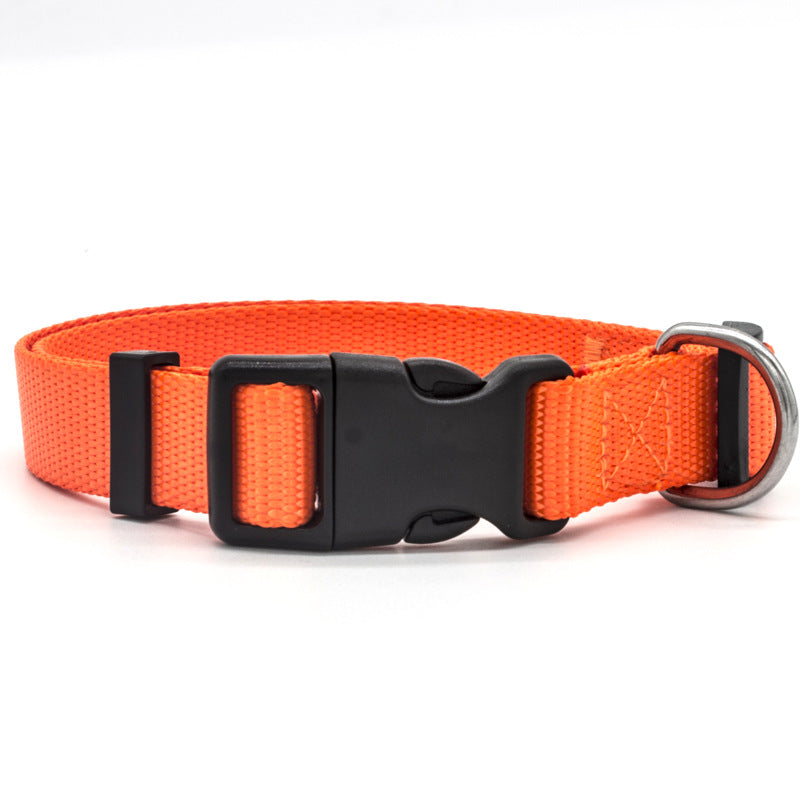 Orange adjustable pet collar with metal D-ring and black buckle
