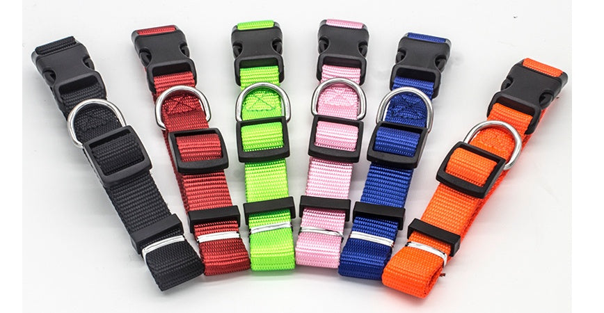 Assorted adjustable pet collars with metal D-rings and matching buckle tabs