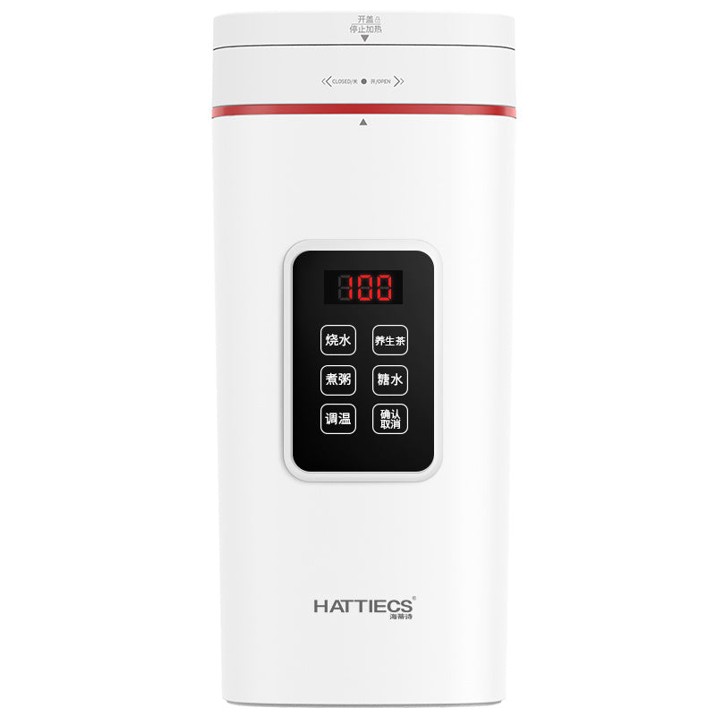 Mini Portable Stainless Steel Kettle With Electric Heating Auto Shut Off Dry Burn Protection Quiet White 21cm