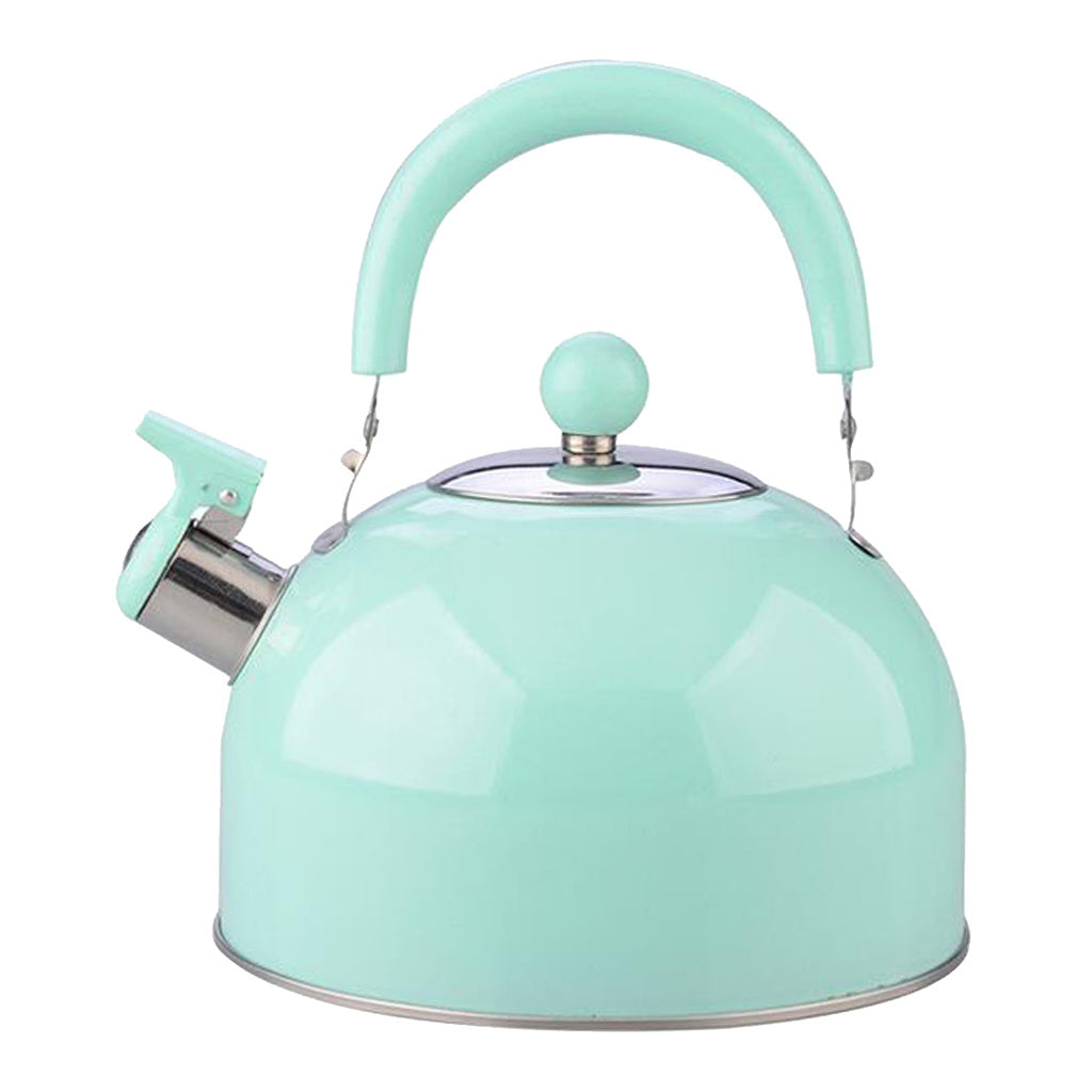 Thickened Flat Bottom Stainless Steel Electric Kettle With Loud Whistle Anti Slip Handle Durable Portable