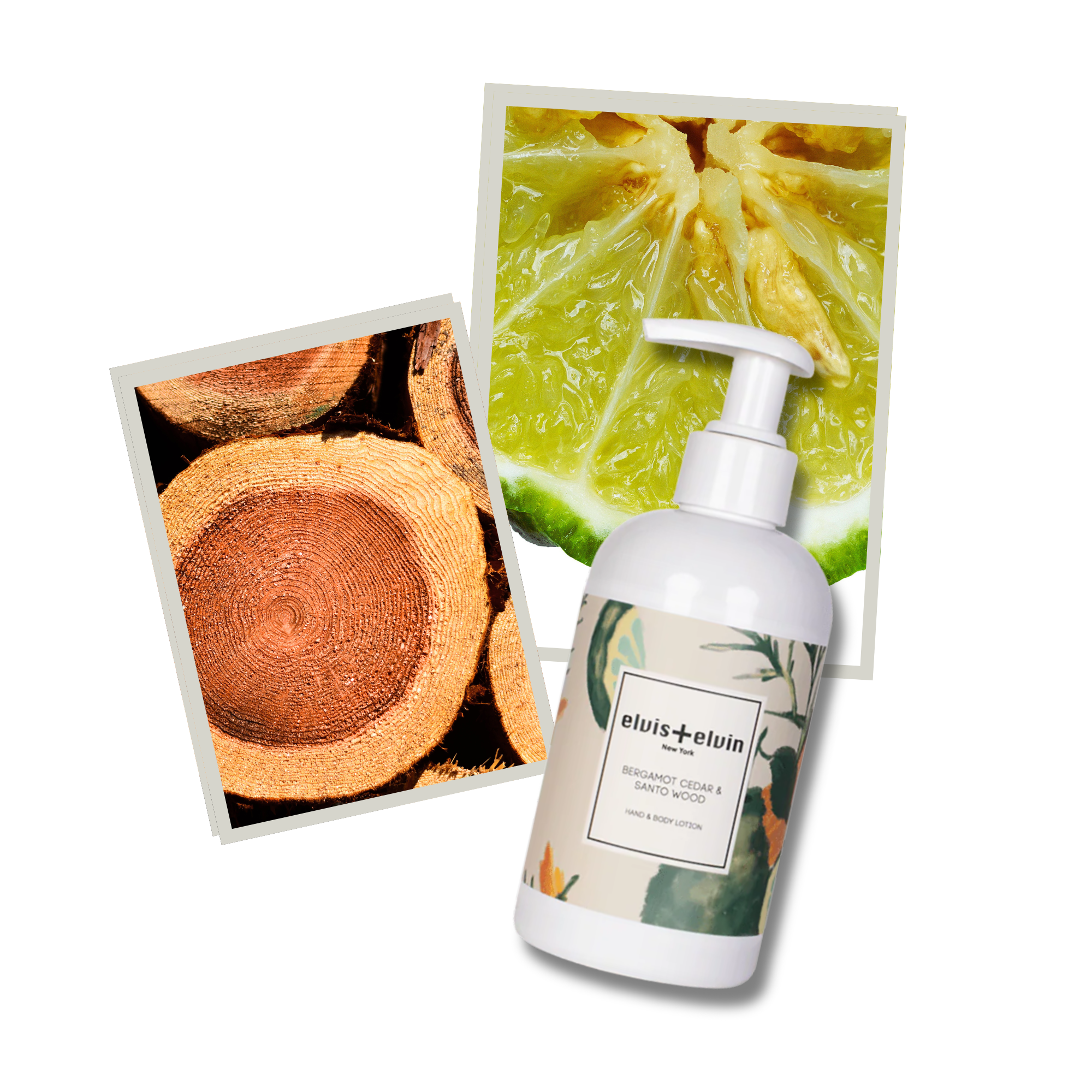elvis+elvin Bergamot Cedar & Santo Wood Hand & Body Lotion-4