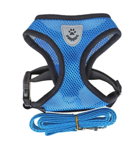 Light blue breathable mesh dog harness with paw badge and coiled leash