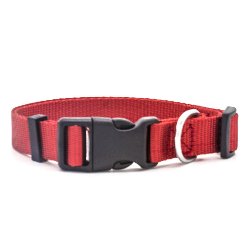 Red nylon pet collar with adjustable black buckle and metal D-ring