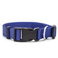 Blue adjustable pet collar with metal D-ring and black buckle hardware