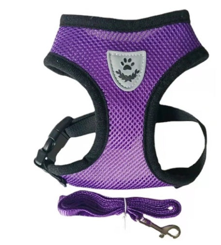Purple breathable mesh dog harness with paw badge and black leash clip