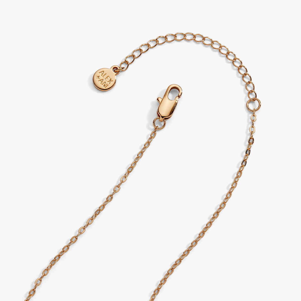 Gold tone chain necklace with clasp hardware and small round tag charms