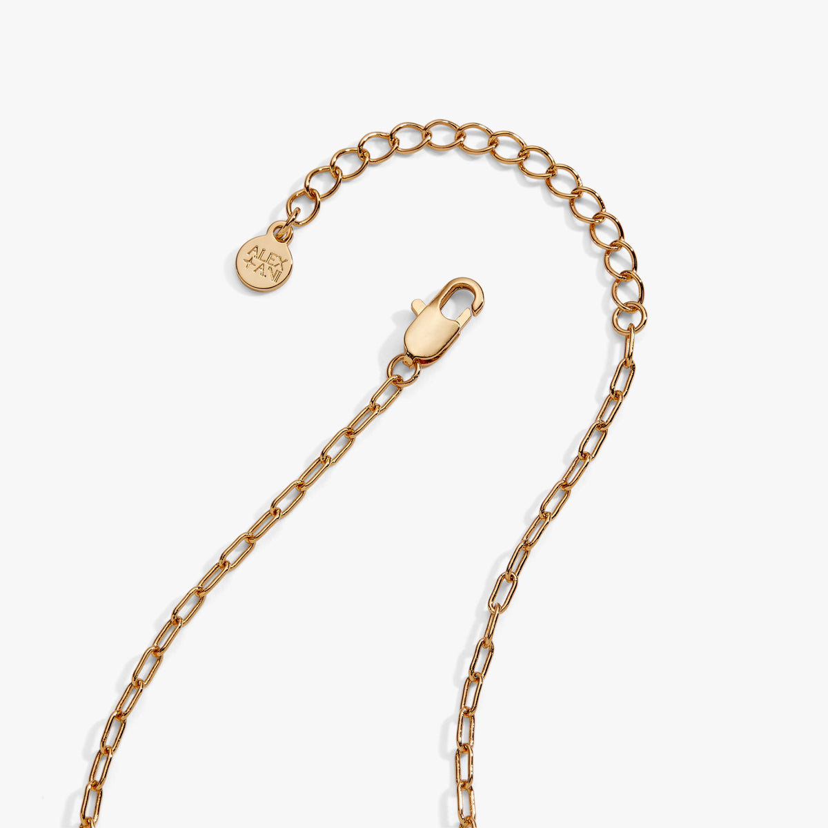 Gold chain with small round charm and lobster clasp for the locket pendant